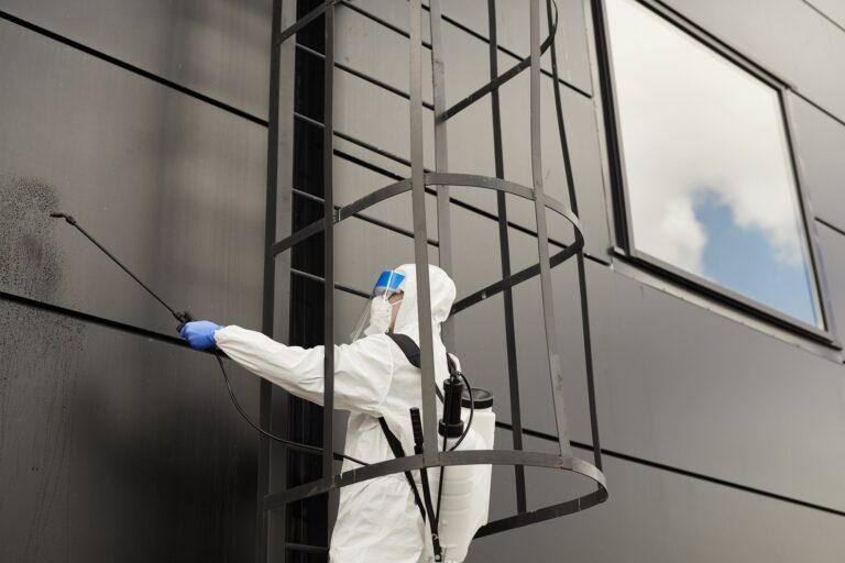 Worker Cleaning Black Facade